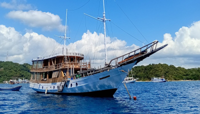 Komodo Open Trip Packages 2-days 1-night
